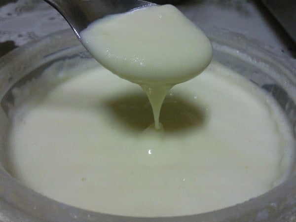 Leite Condensado Diet Caseiro