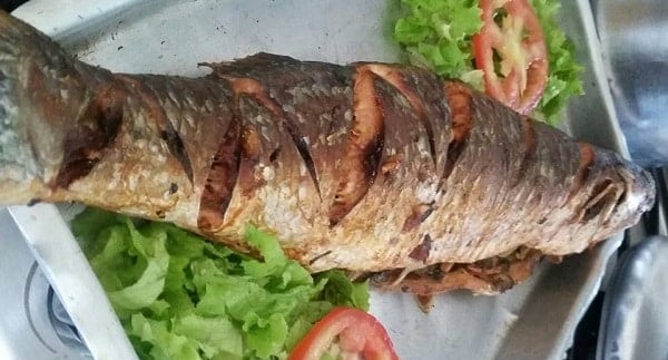 Tainha Assada Recheada