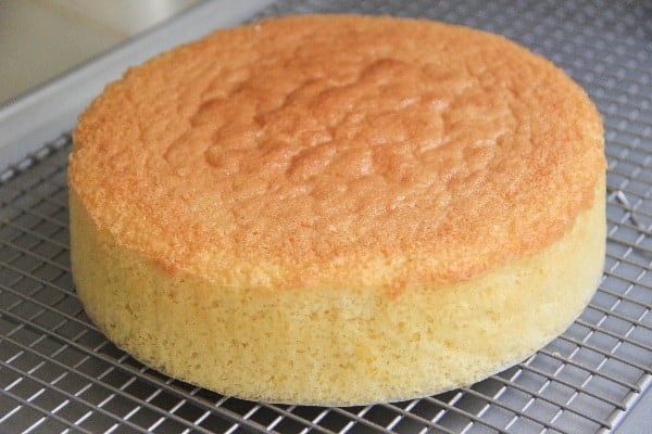 Pão de Ló Profissional