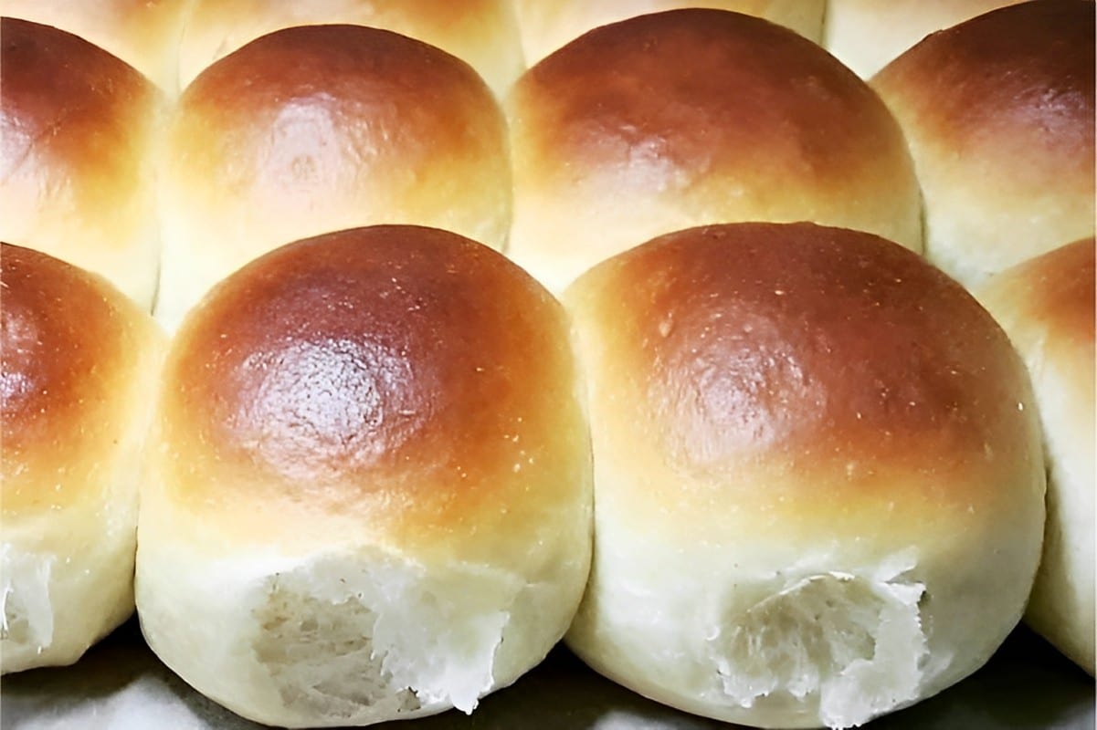 Pão de leite caseiro feito no liquidificador bem gostoso e fofinho para seu café ou lanche