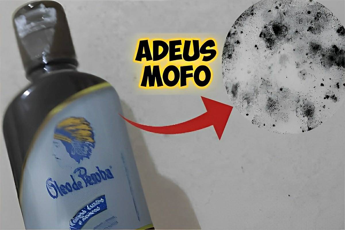 Como eliminar mofo das paredes e deixar sua casa bem bonita para receber visitas