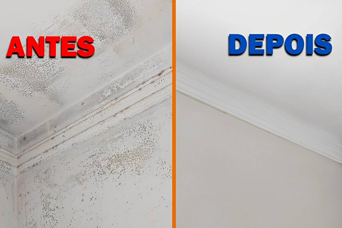 Misture esses ingredientes e remova todo o mofo das paredes e deixe-as como novas