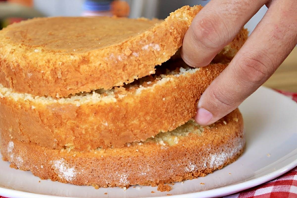 Massa de bolo profissional ou pão de ló para fazer bolos recheados e com cobertura