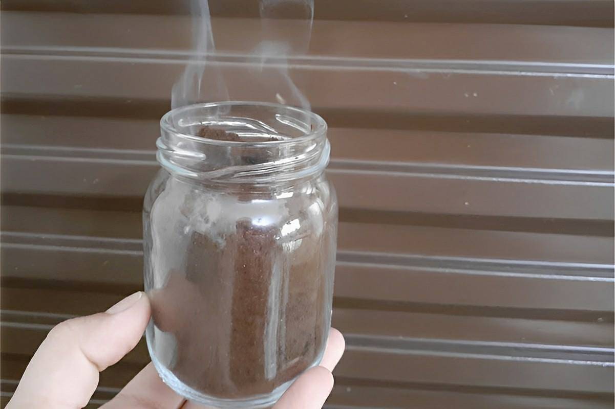 Isso vai acabar com as moscas da sua casa em minutos gastando muito pouco