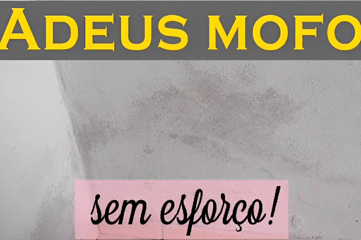 Misturinha caseira para acabar com o mofo das paredes sem fazer esforço
