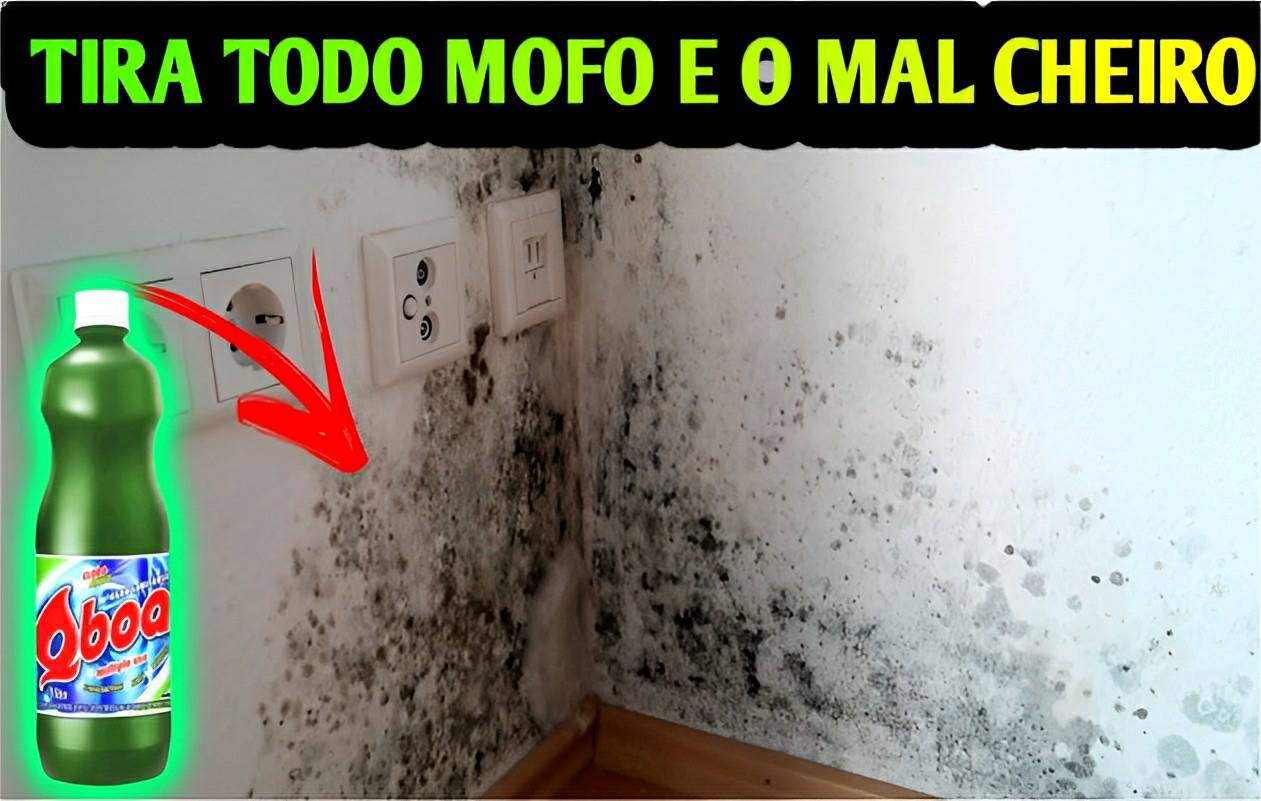 Misturinha caseira para eliminar mofo das paredes sem fazer esforço