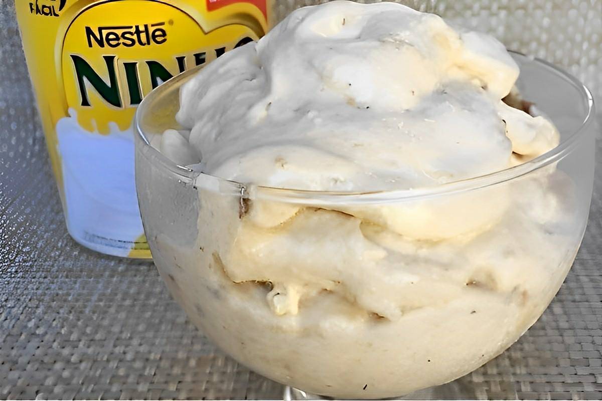 Sobremesa de leite ninho com 2 ingredientes cremosa deliciosa e saudável