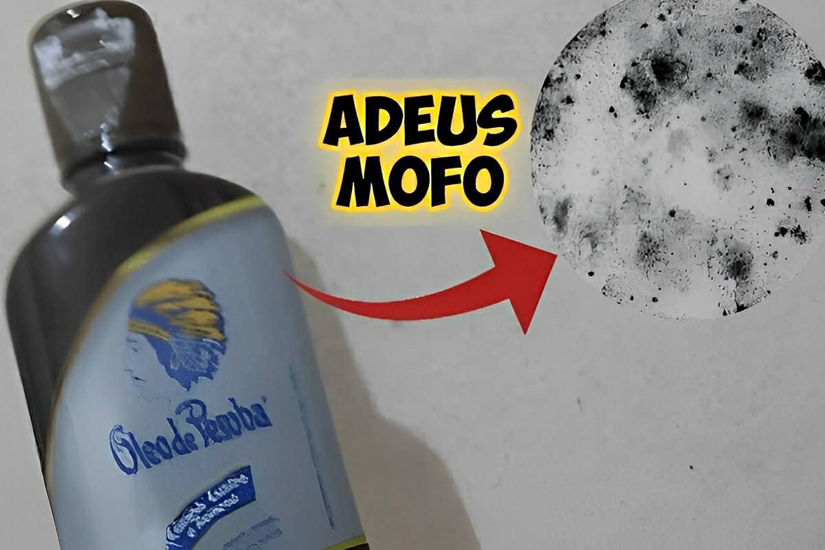 Como eliminar mofo das paredes com essa misturinha caseira de milhões