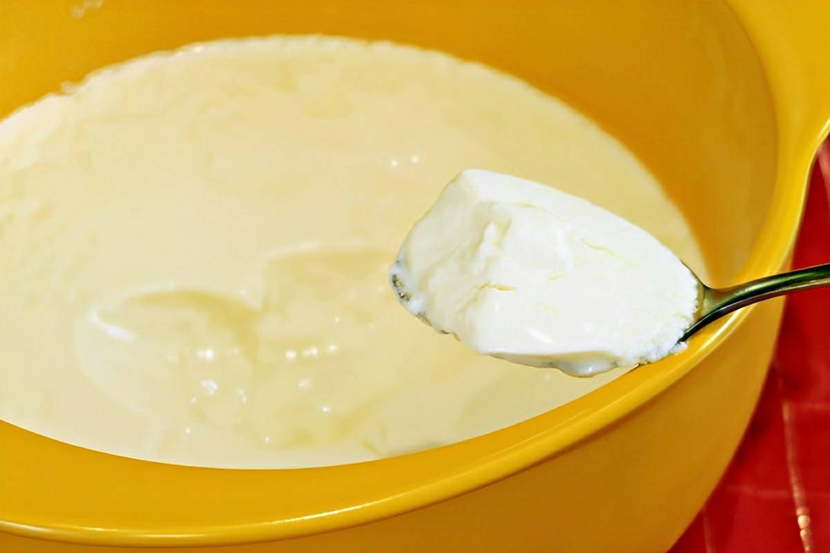 Iogurte natural com 2 ingredientes sem corantes e conservantes muito mais saúde para toda a família