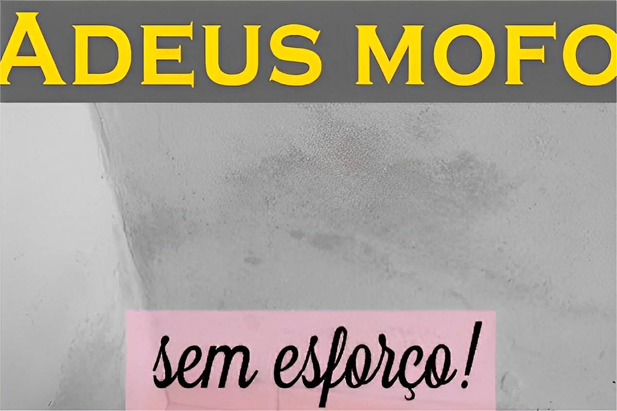 Misturinha caseira para acabar com o mofo das paredes usando apenas 1 ingrediente