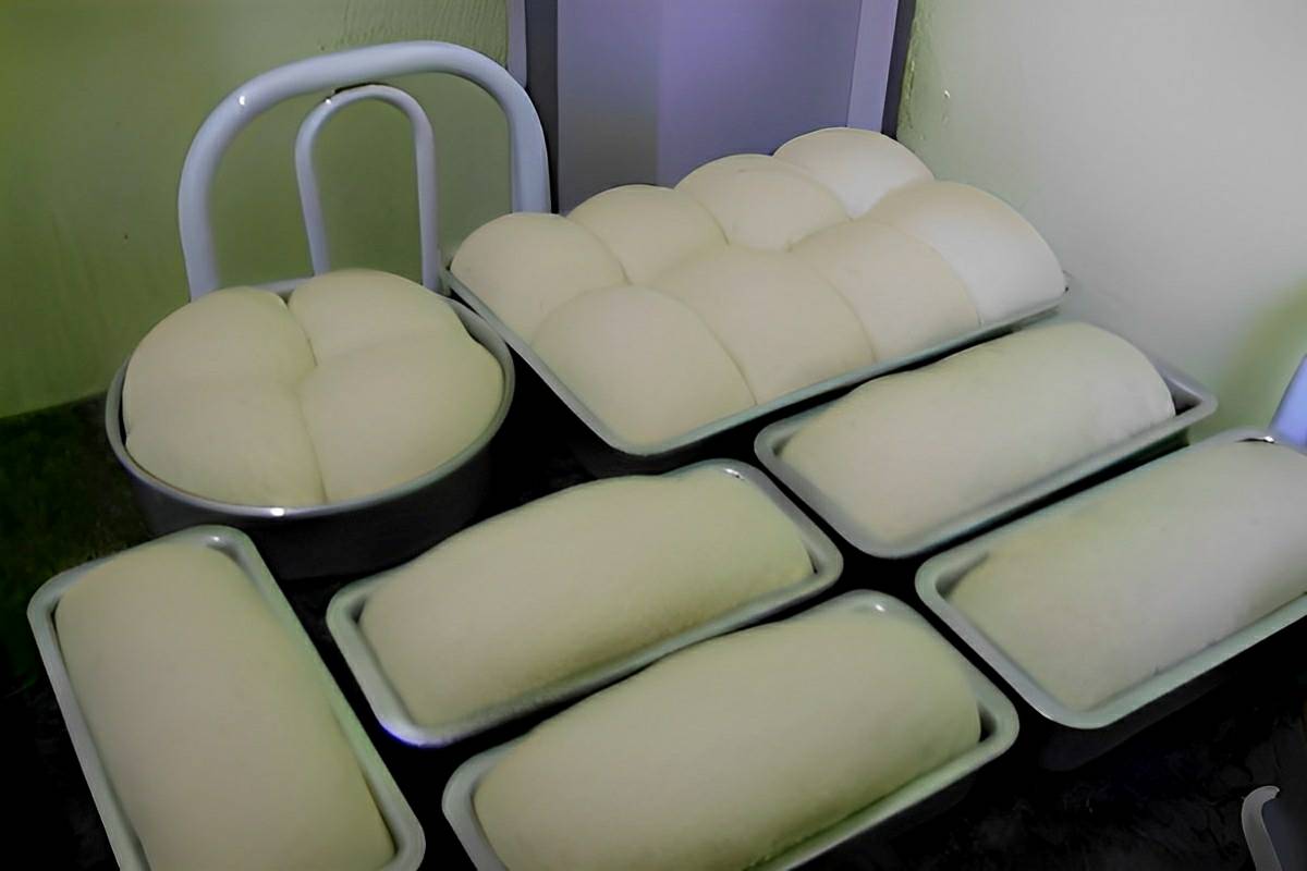 Pão caseiro simples e prático ele rende muito fica uma delícia pra você fazer gastando pouco