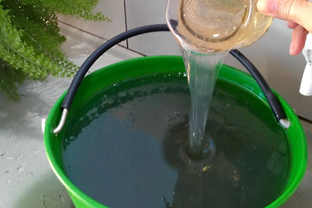 Sabão líquido que rende muito feito com apenas 3 ingredientes para deixar suas roupas limpinhas