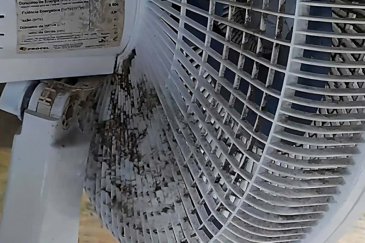 Você limpou ventilador errado a vida inteira mas agora vou ensinar o jeito eficiente que eu faço