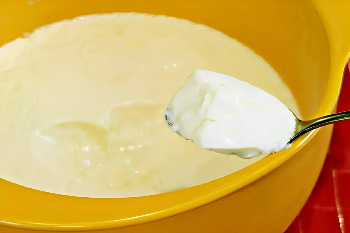 Iogurte natural com 2 ingredientes consistente e sem conservantes e corantes artificiais