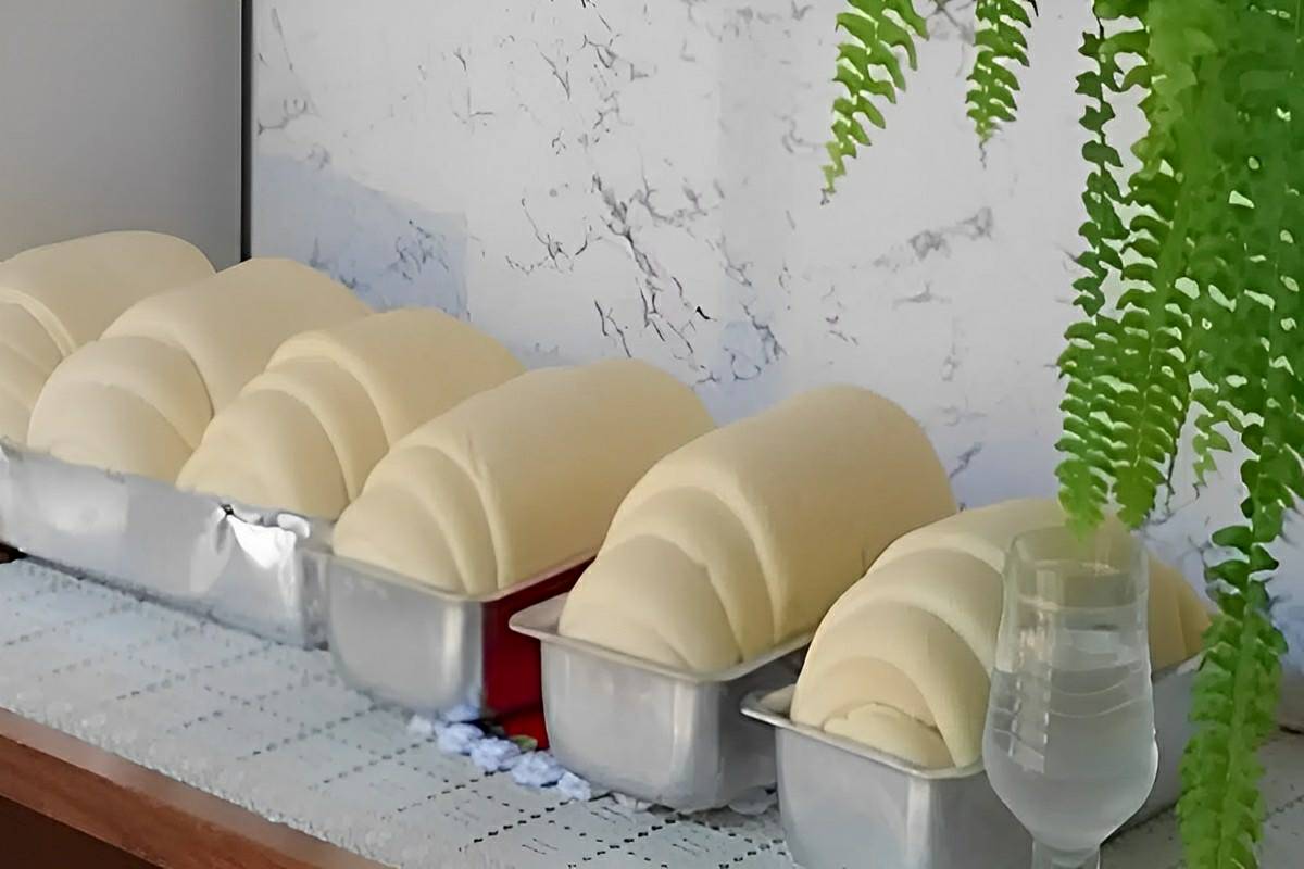 Pão caseiro que cresce bastante e fica muito macio e fofinho perfeito para o lanche ou café