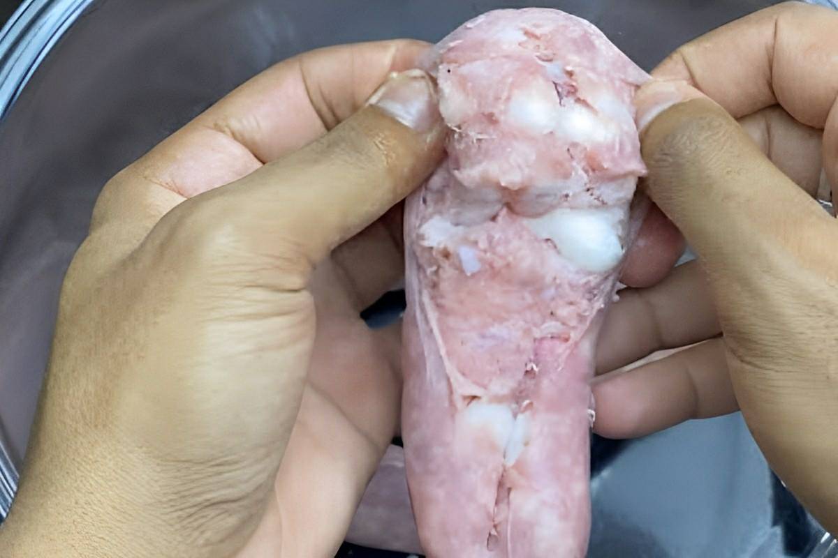 Refogado de linguiça na panela um prato único completo e delicioso para seu almoço ou jantar