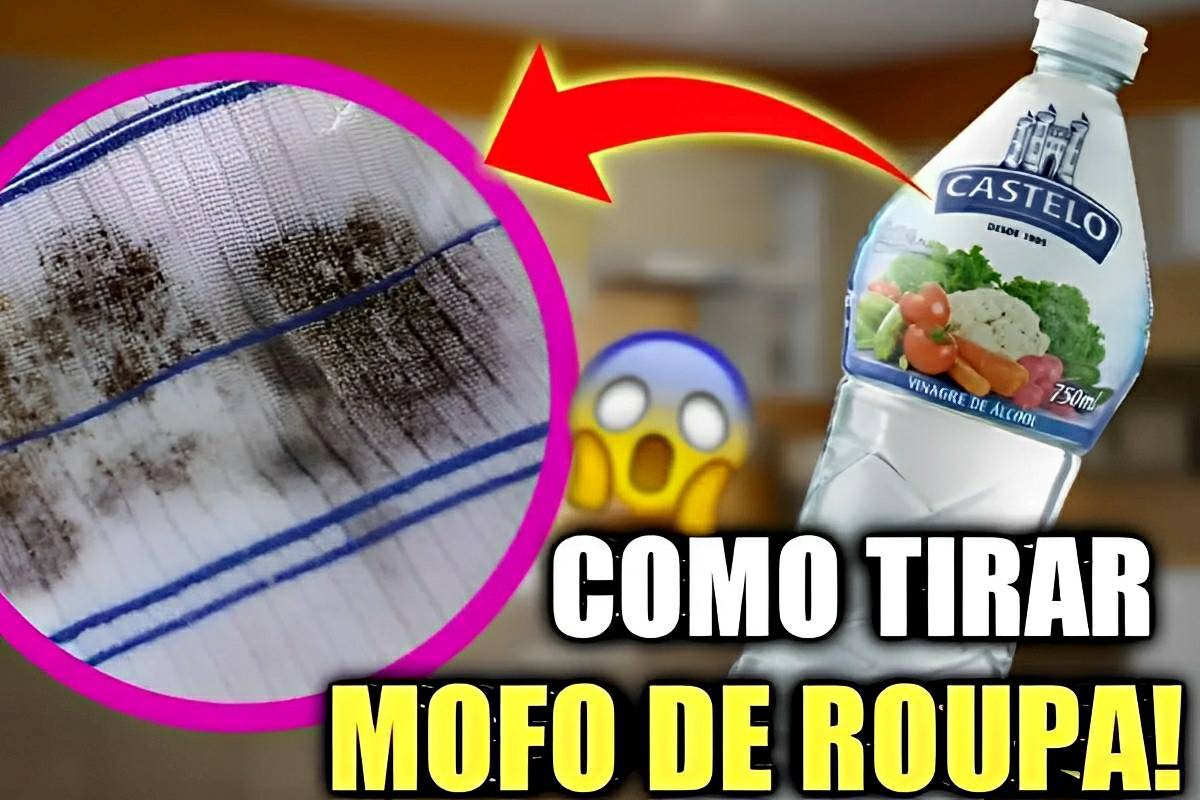 Como acabar com o mofo das roupas com essa dica simples e prática