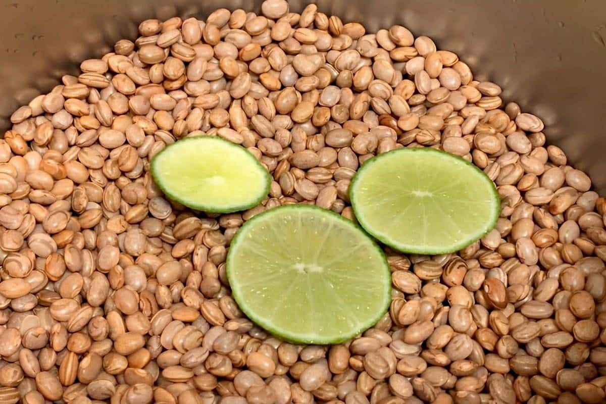 Fiz esse feijão em poucos minutos e quase não gastei gás de cozinha com esse truque