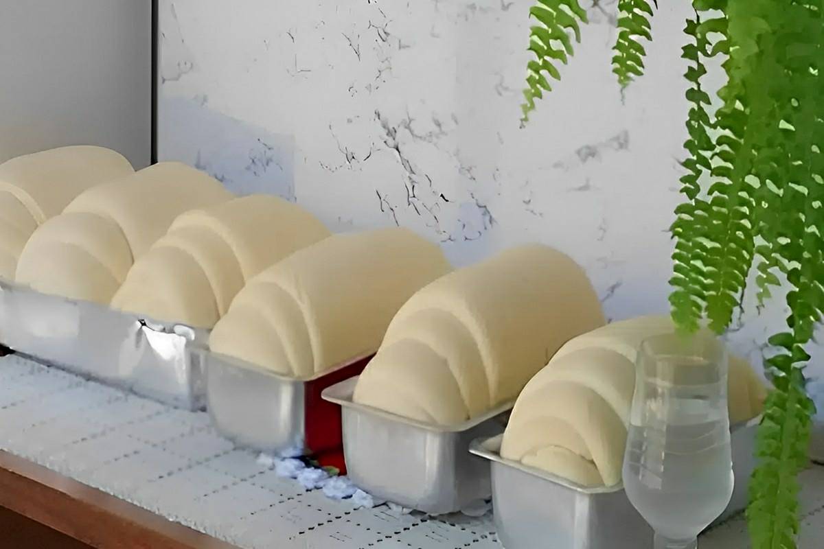 Pão caseiro fofinho a massa cresce bastante e rende vários pães para o lanche ou café