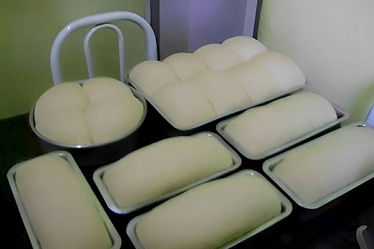 Pão caseiro muito fácil e que rende muito receita que minha vizinha fazia para vender