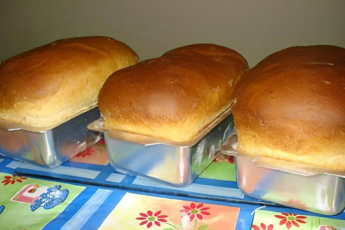 Pão caseiro fácil a massa cresce bem e rende vários pães muito simples e econômico