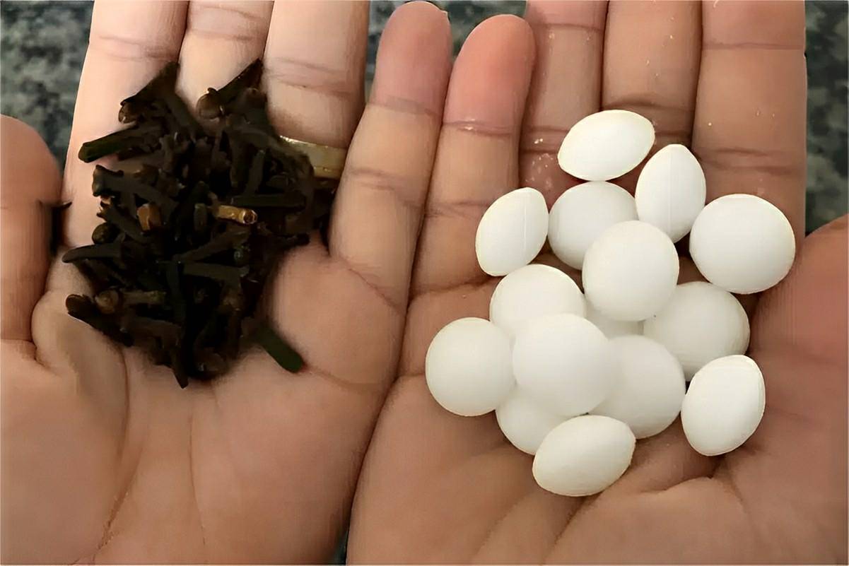 Como acabar com baratas e formigas definitivamente usando 2 produtos que você tem em casa