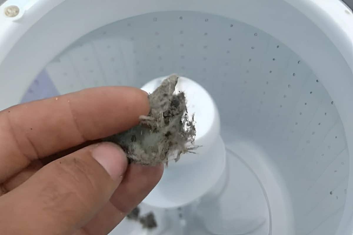 Truque para acabar com fiapos de roupas na máquina de lavar sem gastar muito