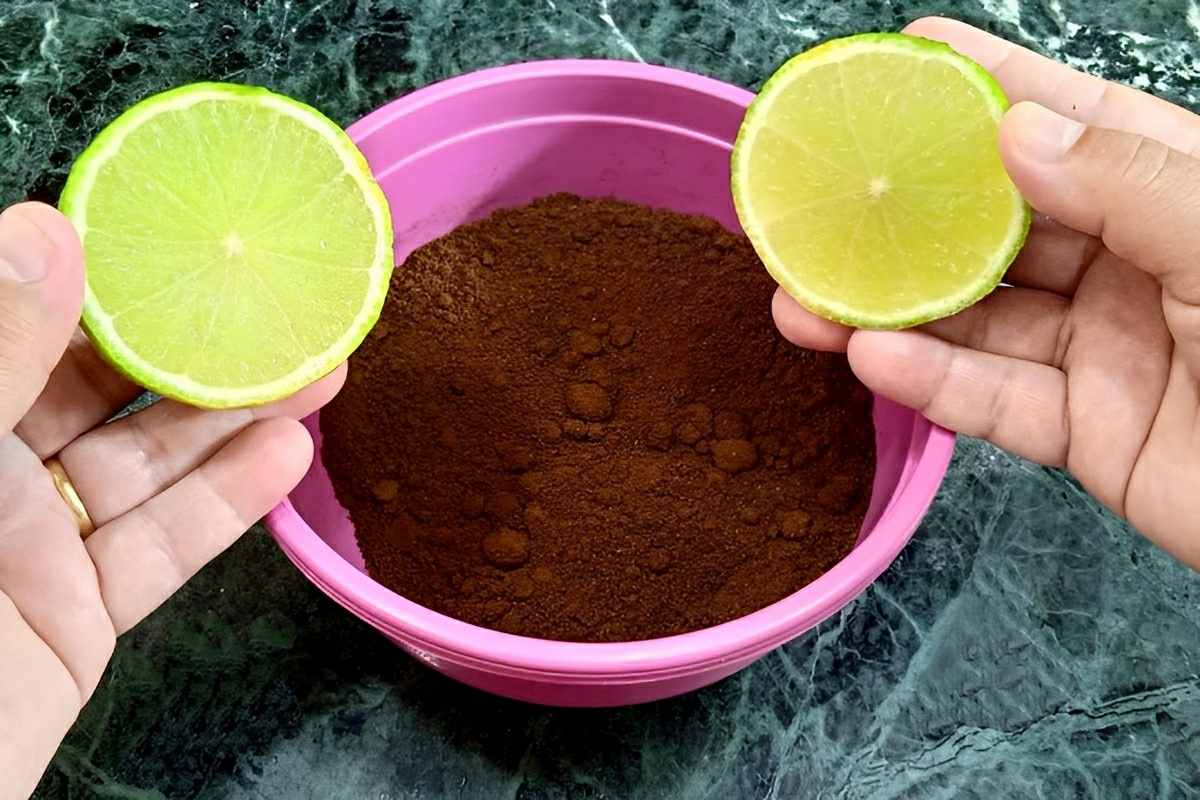 Misturei pó de café com limão e aprendi como acabar com o cheiro ruim da minha geladeira