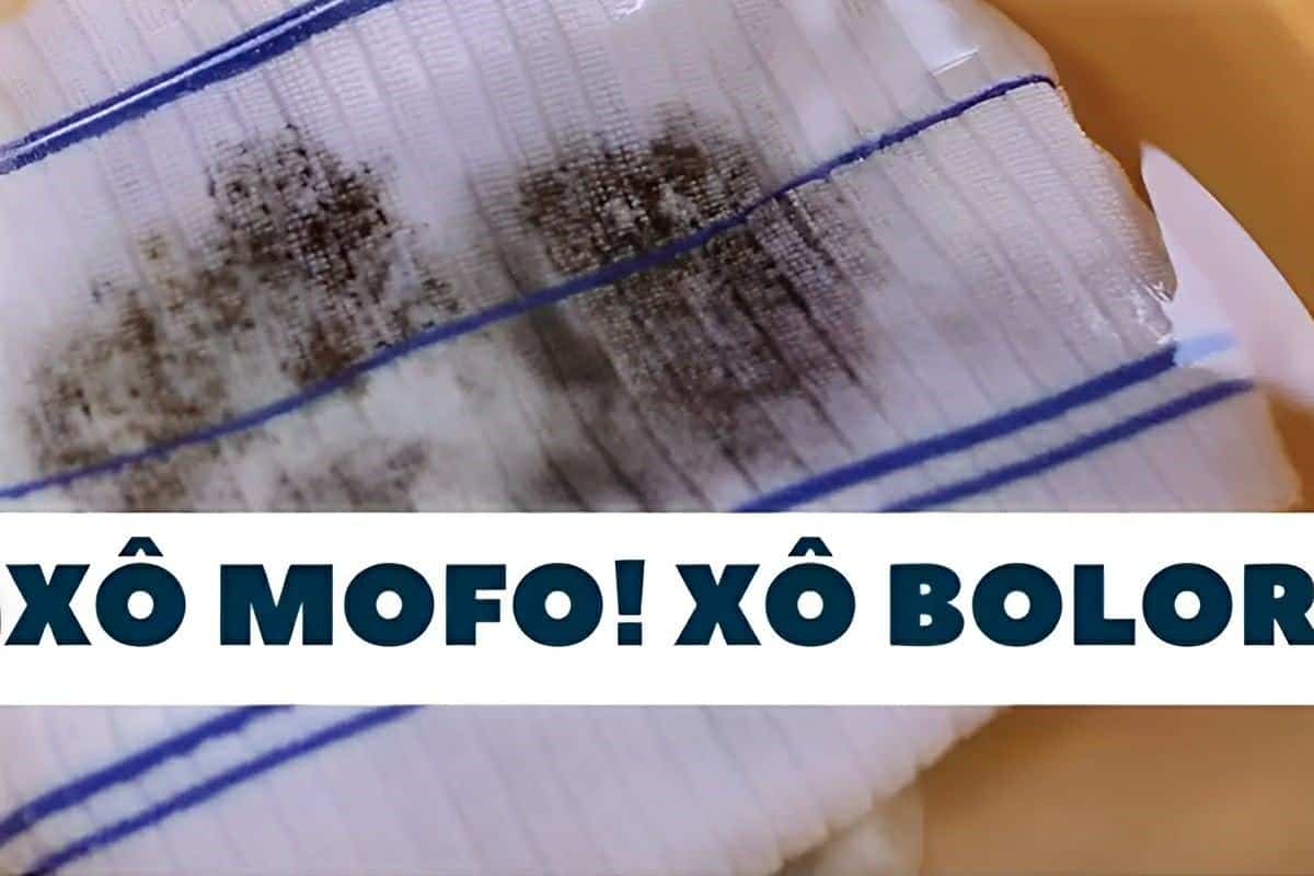 Como tirar manchas de mofo e bolor das roupas brancas e coloridas e deixá-las como novas