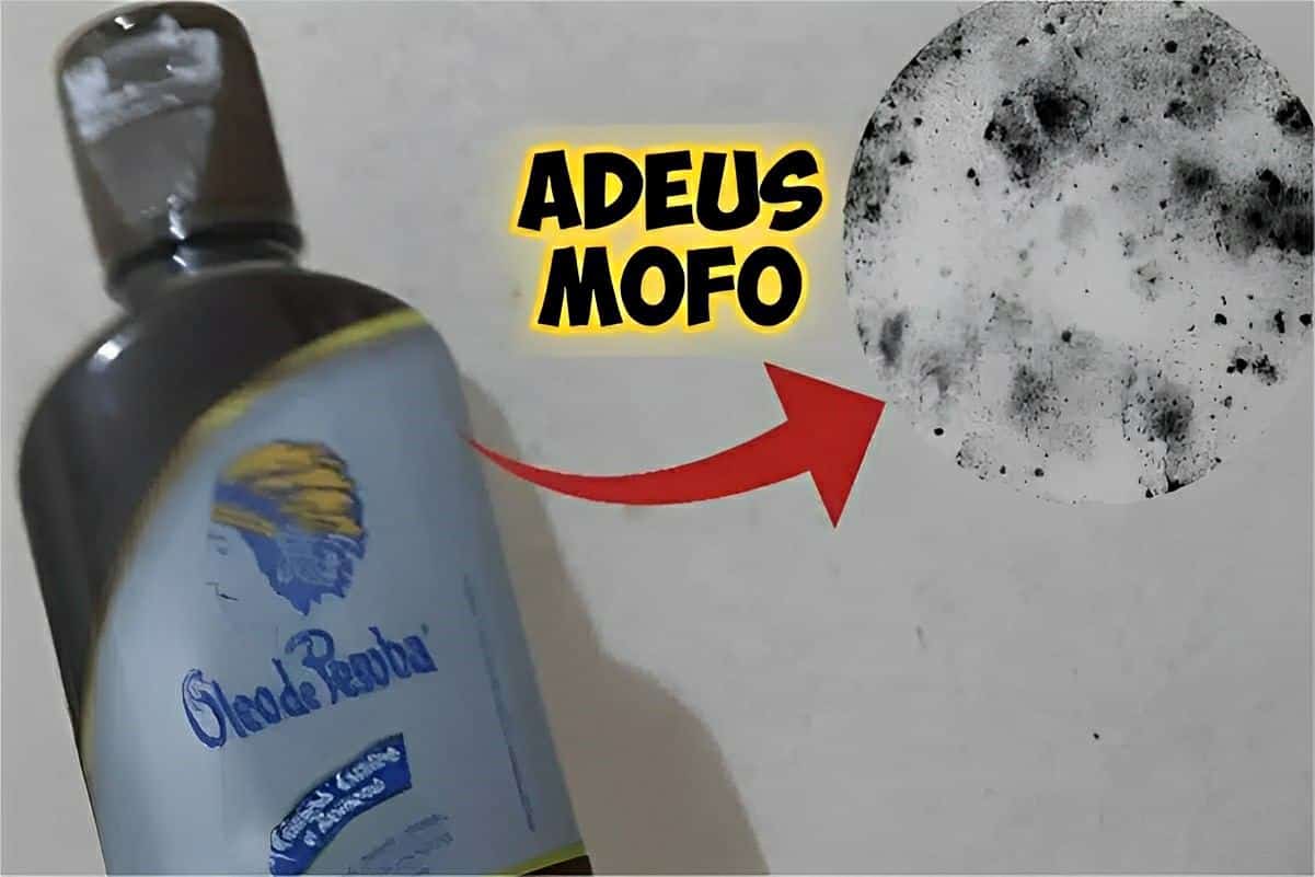 Esfreguei esses produtos na parede e aprendi como eliminar mofo sem esforço