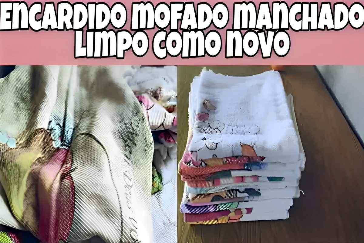 Misturinha caseira para tirar manchas de panos de prato com apenas 3 ingredientes
