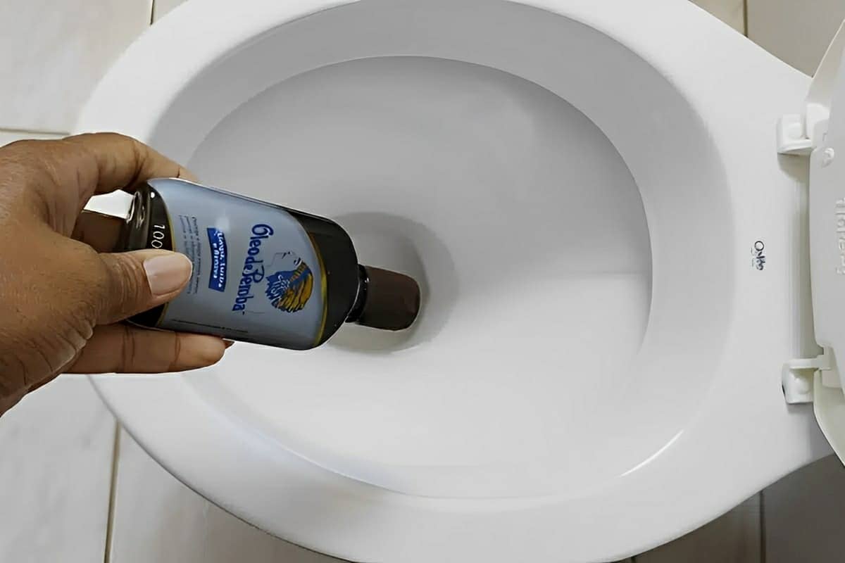 Misturinha para lavar banheiro que vai deixar tudo brilhando como novo e muito cheiroso