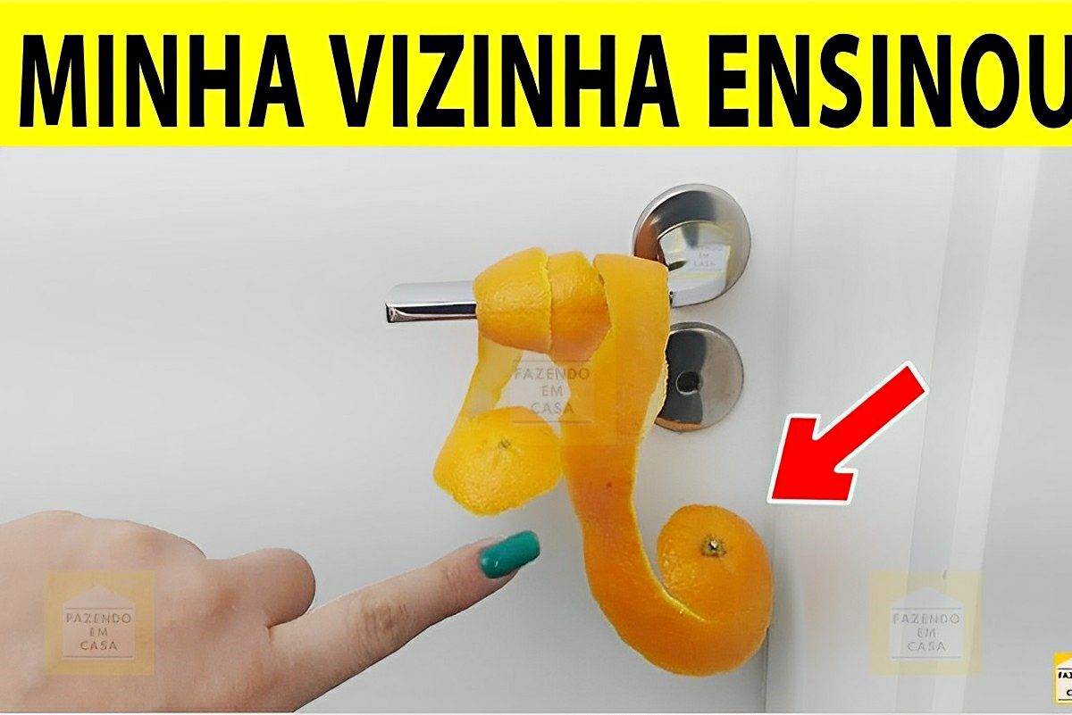 Nunca imaginei que se colocasse casca de laranja atrás da porta aconteceria isso