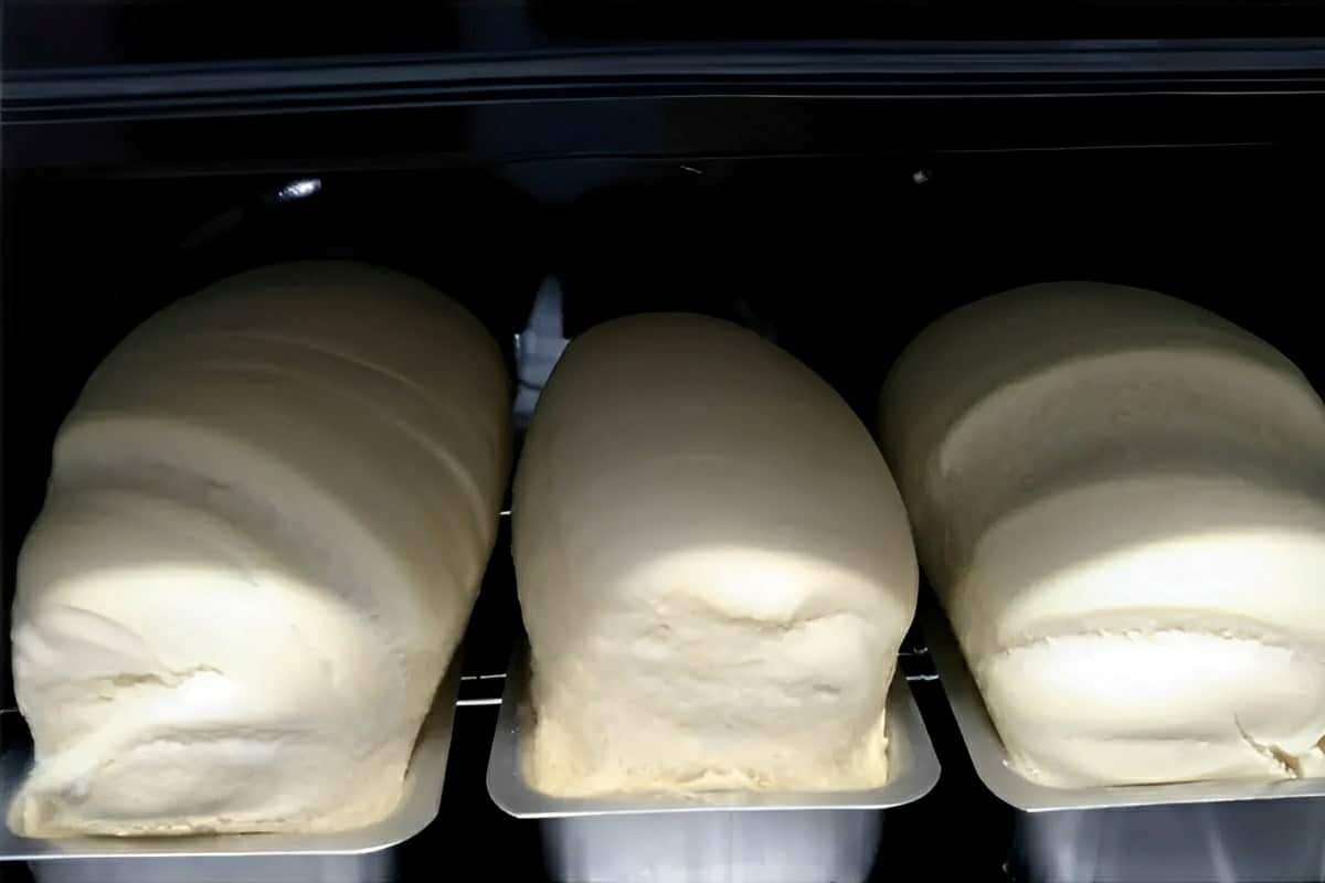 Pão caseiro que desmancha na boca de tão fofinho