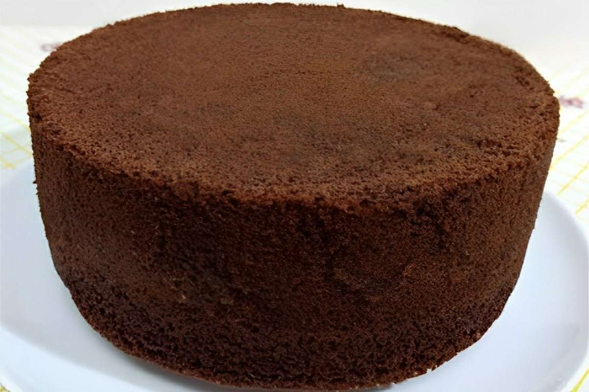 Pão de ló de chocolate perfeito para bolos recheados e com cobertura