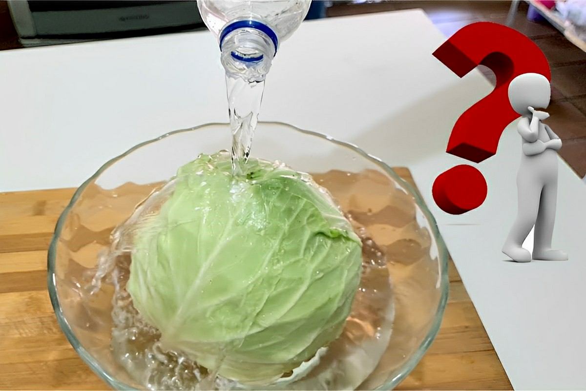 Depois que fiz essa receita com repolho nunca mais quis comer de outro jeito