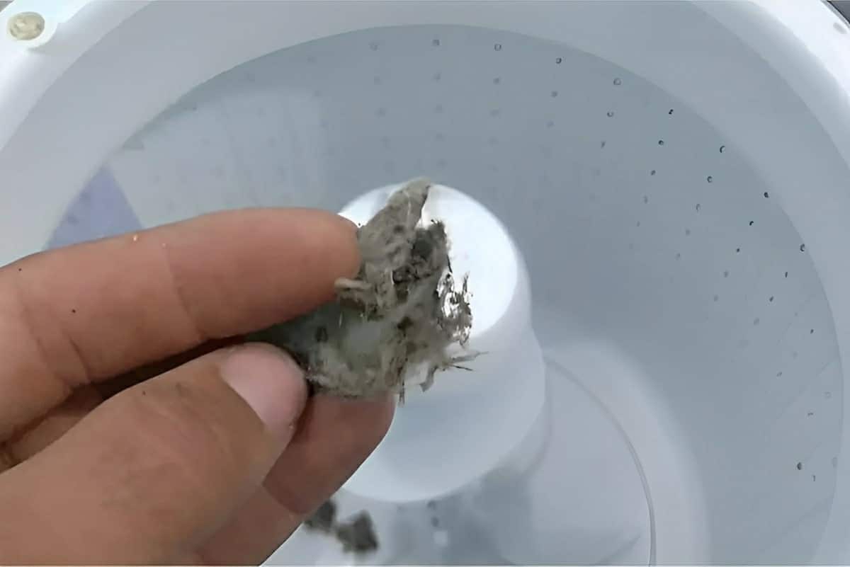 Depois desse truque para acabar com fiapos da máquina de lavar minhas roupas estão sempre impecáveis