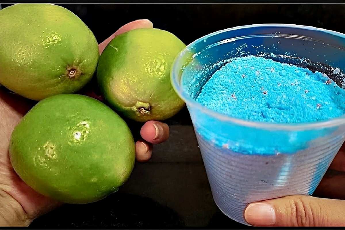 Usei esse truque para limpar banheiro e meu banheiro ficou sempre limpo e cheiroso