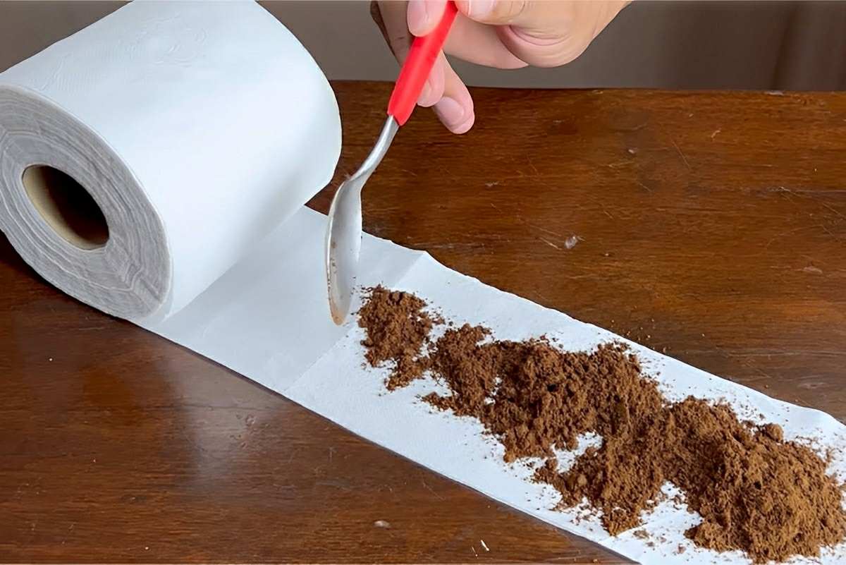Coloquei pó de café no papel higiênico e o resultado me surpreendeu