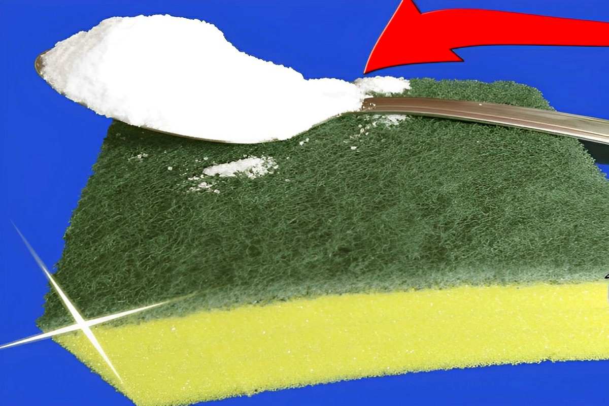 Coloquei sal na bucha de cozinha e não acreditei no que aconteceu