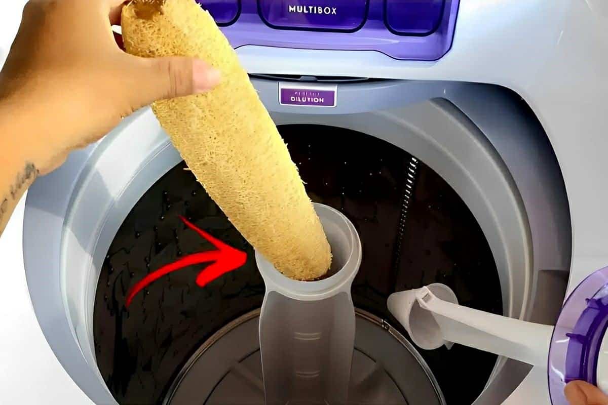 Como tirar fiapos da lava roupas de forma fácil e prática usando apenas 1 produto