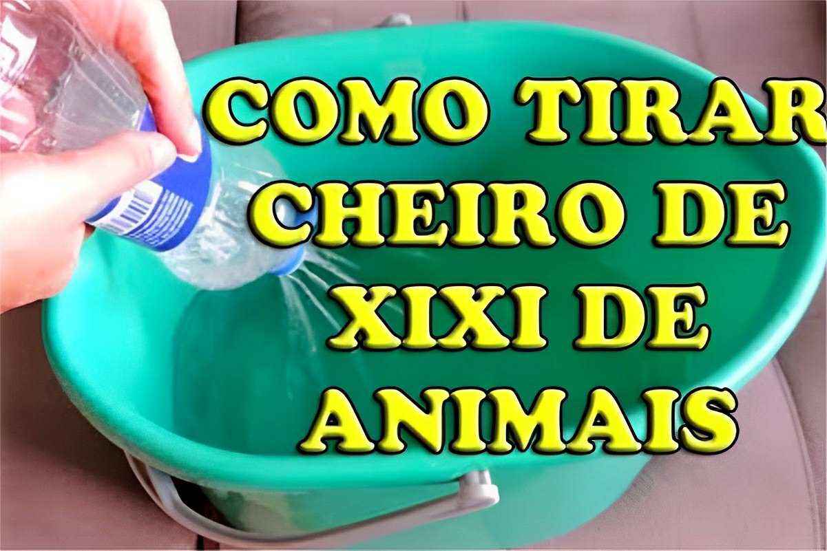 Como tirar o cheiro de urina de animais de dentro de casa usando apenas 3 ingredientes