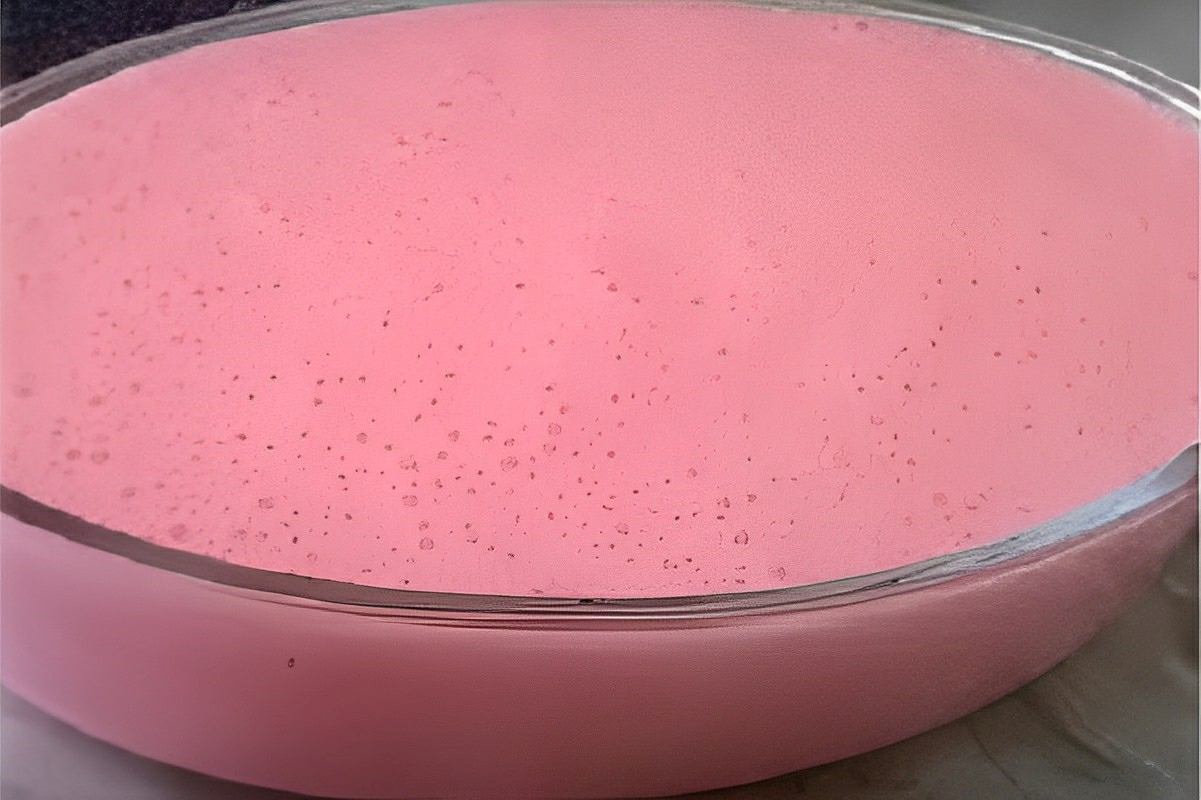 Gelatina cremosa muito fácil feita com apenas 2 ingredientes