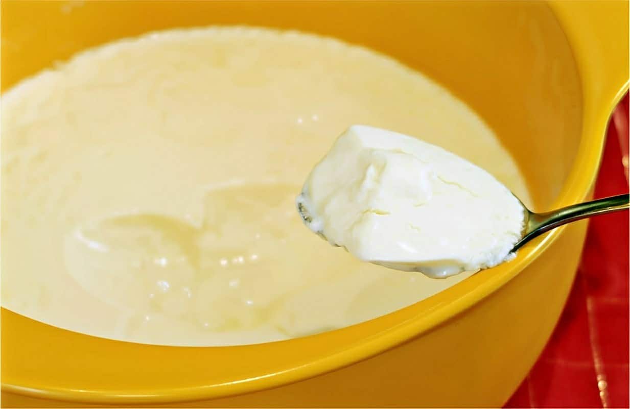 Iogurte natural caseiro com 2 ingredientes o melhor iogurte para a sua família