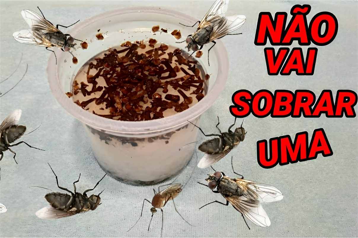 Acabei com as moscas mosquitos e pernilongos de casa com essa misturinha para espantar insetos