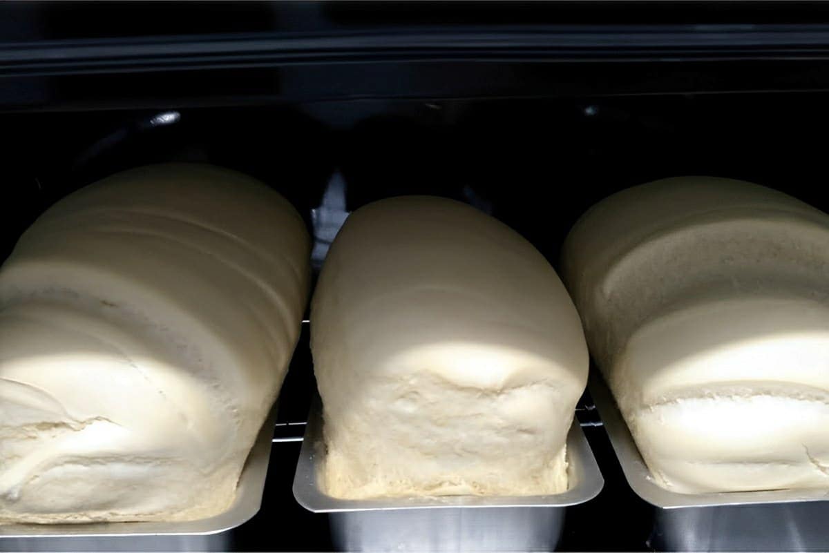 Pão caseiro com massa leve e fofinha perfeito para o seu lanche da tarde ou café da manhã