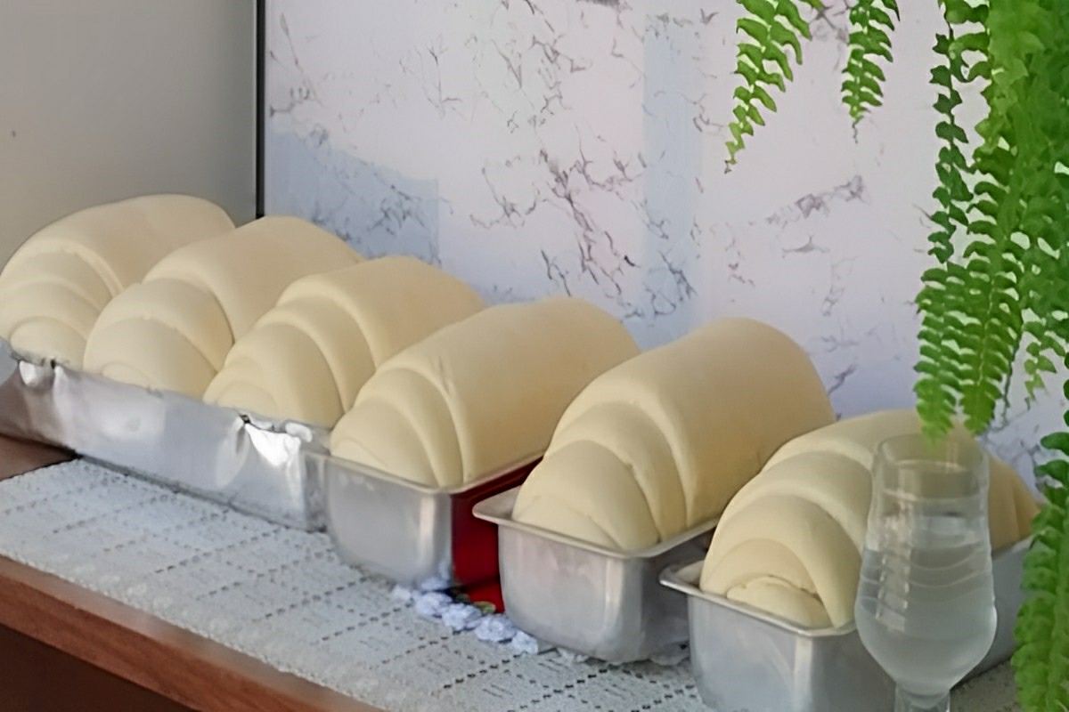 Pão caseiro que cresce muito feito sem ovos nem leite super econômico fofinho e delicioso