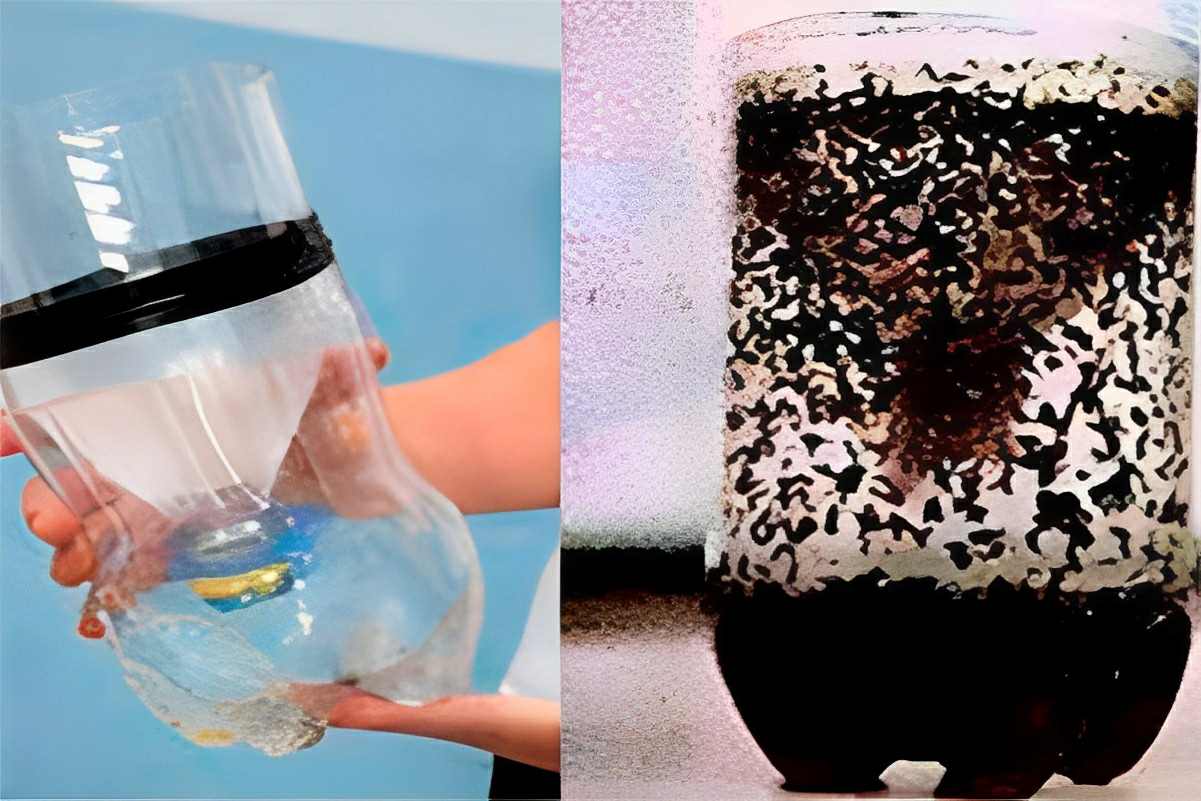 Truque para acabar com as moscas da sua casa com uma garrafa pet