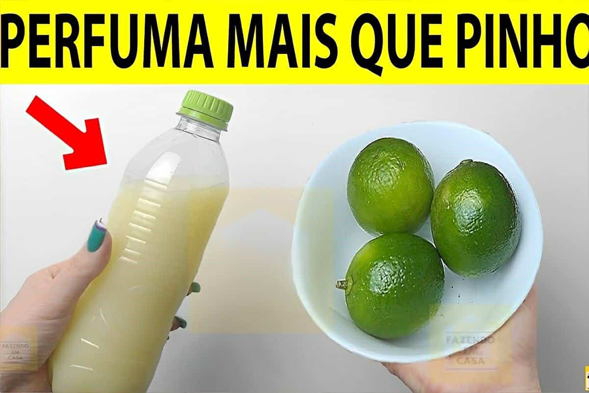 Desinfetante caseiro com limão perfeito para eliminar o odor de urina dos animais da sua casa