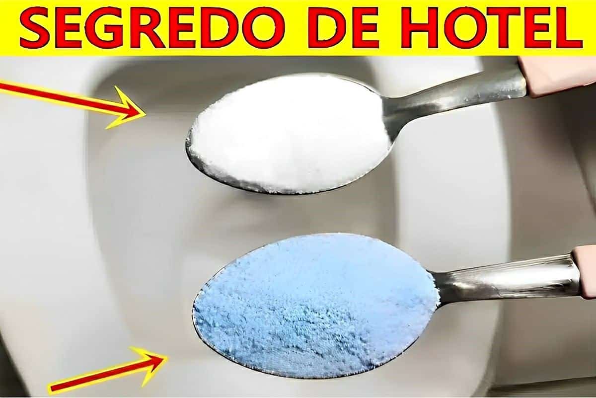 Dica para limpar vaso sanitário usando apenas 3 ingredientes que você tem em casa